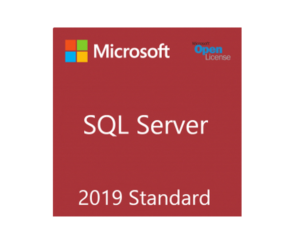 SQLSvrStdCore 2019 SNGL OLP 2Lic NL CoreLic Qlfd
