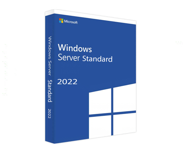 Windows Svr Std 2022 64bit English 1pk DSP OEI DVD 16 Core 
